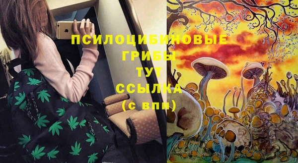 герыч Медвежьегорск