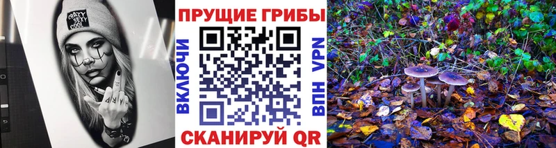 купить наркоту Ладушкин Псилоцибиновые грибы Cubensis